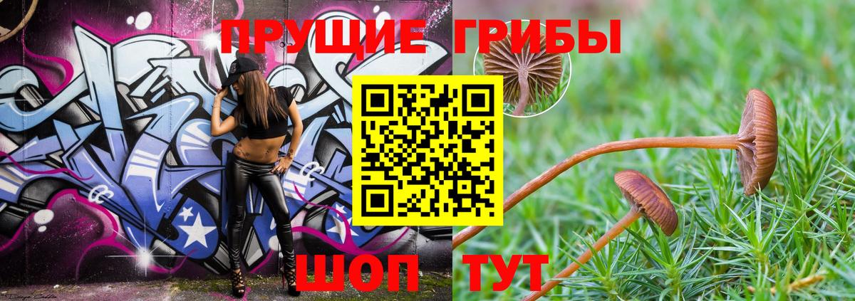 Галлюциногенные грибы Psilocybe  Вход с VPN  Галлюциногенные грибы MAGIC MUSHROOMS  Губкин 